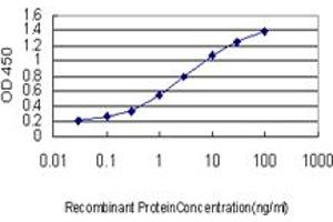 Detection limit for recombinant GST tagged RAB33B is approximately 0. (RAB33B antibody  (AA 117-206))