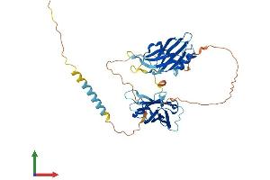 AlphaFold protein structure predicition of Mouse Recombinant Syt4 Protein, UniprotID P40749