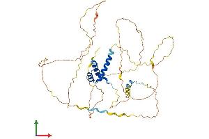 AlphaFold protein structure predicition of Mouse Recombinant Hoxd3 Protein, UniprotID P09027