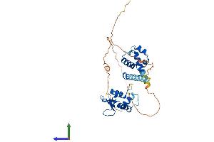 AlphaFold protein structure predicition of Mouse Recombinant Spdef Protein, UniprotID Q9WTP3