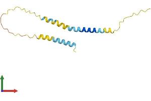 AlphaFold protein structure predicition of Human Recombinant BEX2 Protein, UniprotID Q9BXY8 (BEX2 Protein (AA 1-128) (His tag))