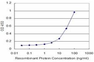 Detection limit for recombinant GST tagged BRAF is approximately 3ng/ml as a capture antibody. (BRAF antibody  (AA 138-231))
