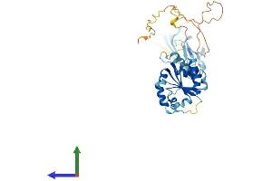 Protein Structure (PS) image for Single Immunoglobulin and Toll-Interleukin 1 Receptor (TIR) Domain (SIGIRR) (AA 1-410) protein (His tag) (ABIN7555465)