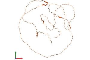 AlphaFold protein structure predicition of Human Recombinant LINC00322 Protein, UniprotID Q6ZN03 (LINC00322 Protein (AA 1-302) (His tag))