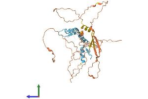 AlphaFold protein structure predicition of Human Recombinant KLF15 Protein, UniprotID Q9UIH9 (KLF15 Protein (AA 1-416) (His tag))