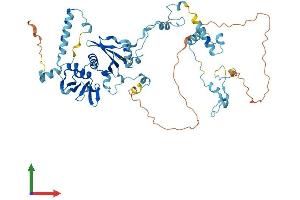 AlphaFold protein structure predicition of Human Recombinant TSEN54 Protein, UniprotID Q7Z6J9 (TSEN54 Protein (AA 1-526) (His tag))
