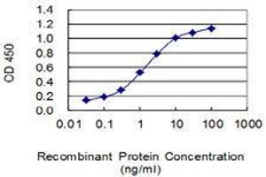 Detection limit for recombinant GST tagged NANOS1 is 0. (Nanos Homolog 1 antibody  (AA 206-270))