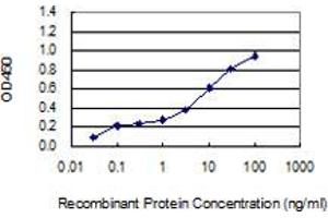 Detection limit for recombinant GST tagged LCT is 0. (LCT antibody  (AA 32-129))