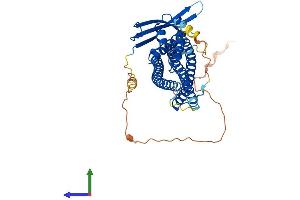 Protein Structure (PS) image for Sorting Nexin Family Member 30 (SNX30) (AA 1-437) protein (His tag) (ABIN7559278)