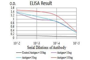 Black line: Control Antigen (100 ng), Purple line: Antigen(10 ng), Blue line: Antigen (50 ng), Red line: Antigen (100 ng), (RAB13 antibody  (AA 66-200))