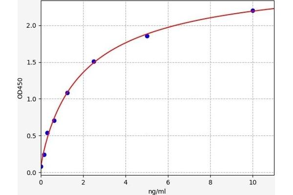 CD44 ELISA Kit