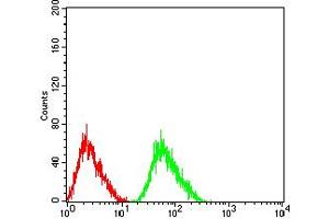 Flow cytometric analysis of SK-N-SH cells using CHRNA5 mouse mAb (green) and negative control (red). (CHRNA5 antibody  (AA 23-254))