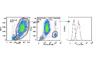 Surface staining of human peripheral blood using anti-human CD163 (clone (CD163 antibody)