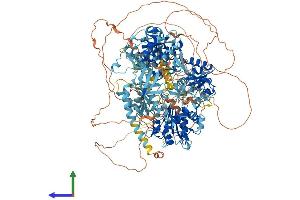 AlphaFold protein structure predicition of Mouse Recombinant Sbno1 Protein, UniprotID Q689Z5 (SBNO1 Protein (AA 1-1390) (His tag))