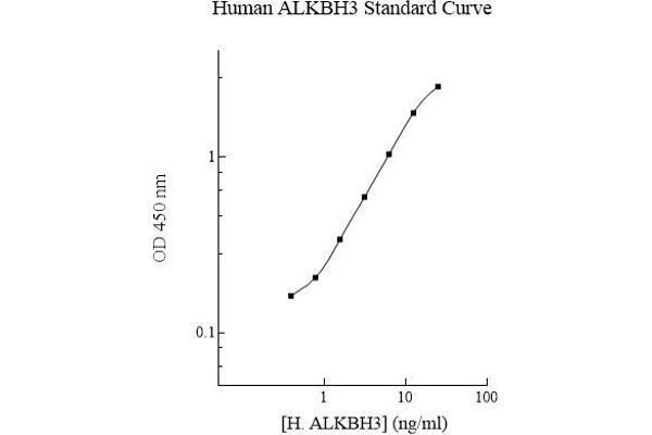 ALKBH3 ELISA Kit