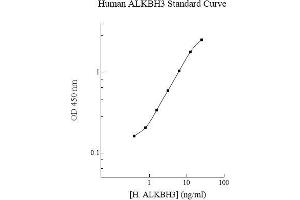 Image no. 1 for AlkB, Alkylation Repair Homolog 3 (ALKBH3) ELISA Kit (ABIN5564610) (ALKBH3 ELISA Kit)