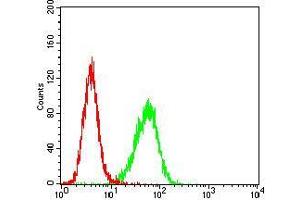 Fig. (Trefoil Factor 2 antibody  (AA 20-125))
