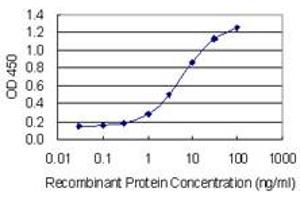 Detection limit for recombinant GST tagged ALYREF is 0. (THO Complex 4 antibody  (AA 106-193))