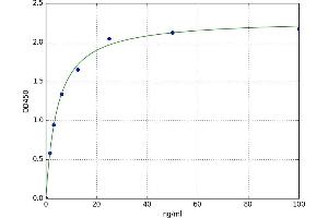 A typical standard curve