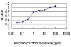 Detection limit for recombinant GST tagged HFE is approximately 0. (HFE antibody  (AA 115-205))