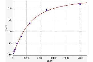 CEBPZ ELISA Kit