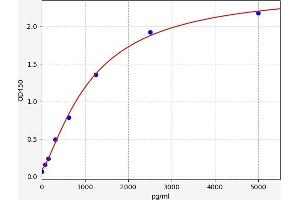 Typical standard curve (CEBPZ ELISA Kit)