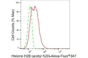 Flow cytometric analysis of Histone H2B (acetyl K20) expression in C2C12 cells using Histone H2B (acetyl K20) antibody (ABIN7798944), 1:2,000).