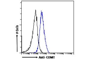 (ABIN185328) Flow cytometric analysis of paraformaldehyde fixed A431 cells (blue line), permeabilized with 0. (COMT antibody  (N-Term))