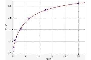 Calreticulin (CALR) ELISA Kit