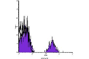 Flow Cytometry (FACS) image for anti-CD19 Molecule (CD19) antibody (PE) (ABIN2144812) (CD19 antibody  (PE))