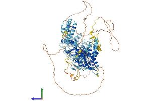 AlphaFold protein structure predicition of Mouse Recombinant Ints6 Protein, UniprotID Q6PCM2