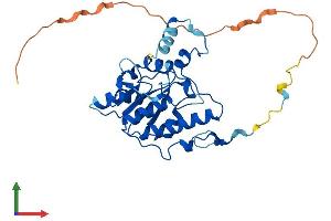 AlphaFold protein structure predicition of Mouse Recombinant Dtwd2 Protein, UniprotID Q9D0U1 (DTWD2 Protein (AA 1-298) (His tag))