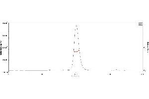 The purity of Biotinylated 2019-nCoV (COVID-19) S protein RBD, His,Avitag (MALS verified) ( ABIN6952456) was more than 90% in HP-SEC, and around 45-55 kDa verified by SEC-MALS. (SARS-CoV-2 Spike S1 Protein (RBD) (His tag,AVI tag,Biotin))