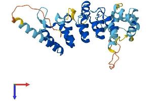 AlphaFold protein structure predicition of Human Recombinant ANKRD9 Protein, UniprotID Q96BM1 (ANKRD9 Protein (AA 1-317) (His tag))