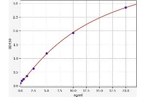 Typical standard curve (SUMO2 ELISA Kit)
