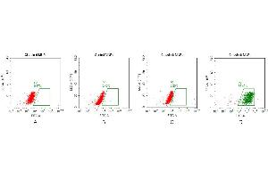 FACS analysis of C MNPs A. (Claudin 6 Protein (CLDN6))