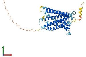 Protein Structure (PS) image for MAS1 Oncogene (MAS1) (AA 1-325) protein (His tag) (ABIN7549179)