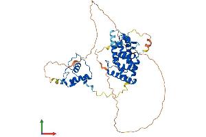 Protein Structure (PS) image for Retinoid X Receptor, alpha (RXRA) (AA 1-462) protein (His tag) (ABIN7555379)
