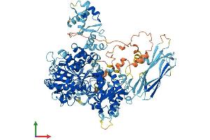 Protein Structure (PS) image for Moloney Leukemia Virus 10 (MOV10) (AA 1-1003) protein (His tag) (ABIN7554585)