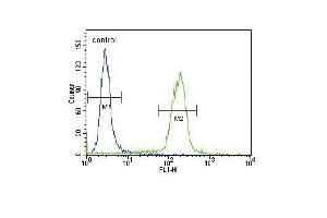B2M Antibody (N-term) (ABIN389258 and ABIN2839396) flow cytometric analysis of Hela cells (right histogram) compared to a negative control cell (left histogram). (beta-2 Microglobulin antibody  (N-Term))