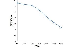 Antigen: 0. (CPA1 antibody  (AA 201-300))