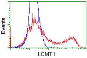 HEK293T cells transfected with either RC200018 overexpress plasmid (Red) or empty vector control plasmid (Blue) were immunostained by anti-LCMT1 antibody (ABIN2454742), and then analyzed by flow cytometry. (LCMT1 antibody)