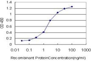Detection limit for recombinant GST tagged RIPK2 is approximately 0. (RIPK2 antibody  (AA 431-540))