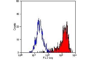 Staining of mouse J774 cells with RAT ANTI MOUSE F4/80 ANTIGEN - RPE (ABIN111857). (F4/80 antibody  (PE))