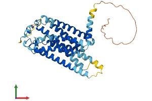 Protein Structure (PS) image for Lysophosphatidic Acid Receptor 3 (LPAR3) (AA 1-354) protein (His tag) (ABIN7561391)