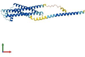 AlphaFold protein structure predicition of Mouse Recombinant Stx1a Protein, UniprotID O35526