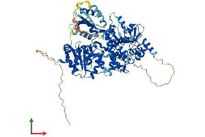 AlphaFold protein structure predicition of Human Recombinant DHX32 Protein, UniprotID Q7L7V1 (DHX32 Protein (AA 1-743) (His tag))