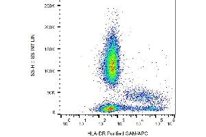 Surface staining of HLA-DR in human peripheral blood with anti-HLA-DR (L243) purified / GAM-APC. (HLA-DR antibody)