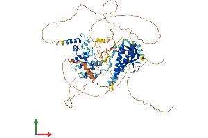 AlphaFold protein structure predicition of Mouse Recombinant Psd2 Protein, UniprotID Q6P1I6 (PSD2 Protein (AA 1-770) (His tag))