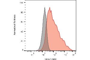 Flow cytometry analysis of Surface staining of REH cells using CD271 Antibody (APC). (NGFR antibody  (APC))